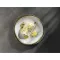 Talher dreptunghiular Churchill Stonecast Barley White, lungime: 269 mm
