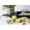 AMT GASTROGUSS Recipient GN 1/1, potrivit pentru inducție, adâncime: 20 mm