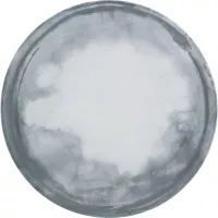 BAUSCHER Smart Farfurie întinsă cu margine înălțată, înălțime: 18 mm, diametru: 170 mm, decor de Coast